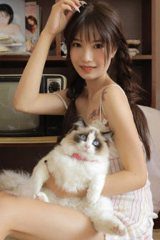 成人VA在线一区二区三区四区